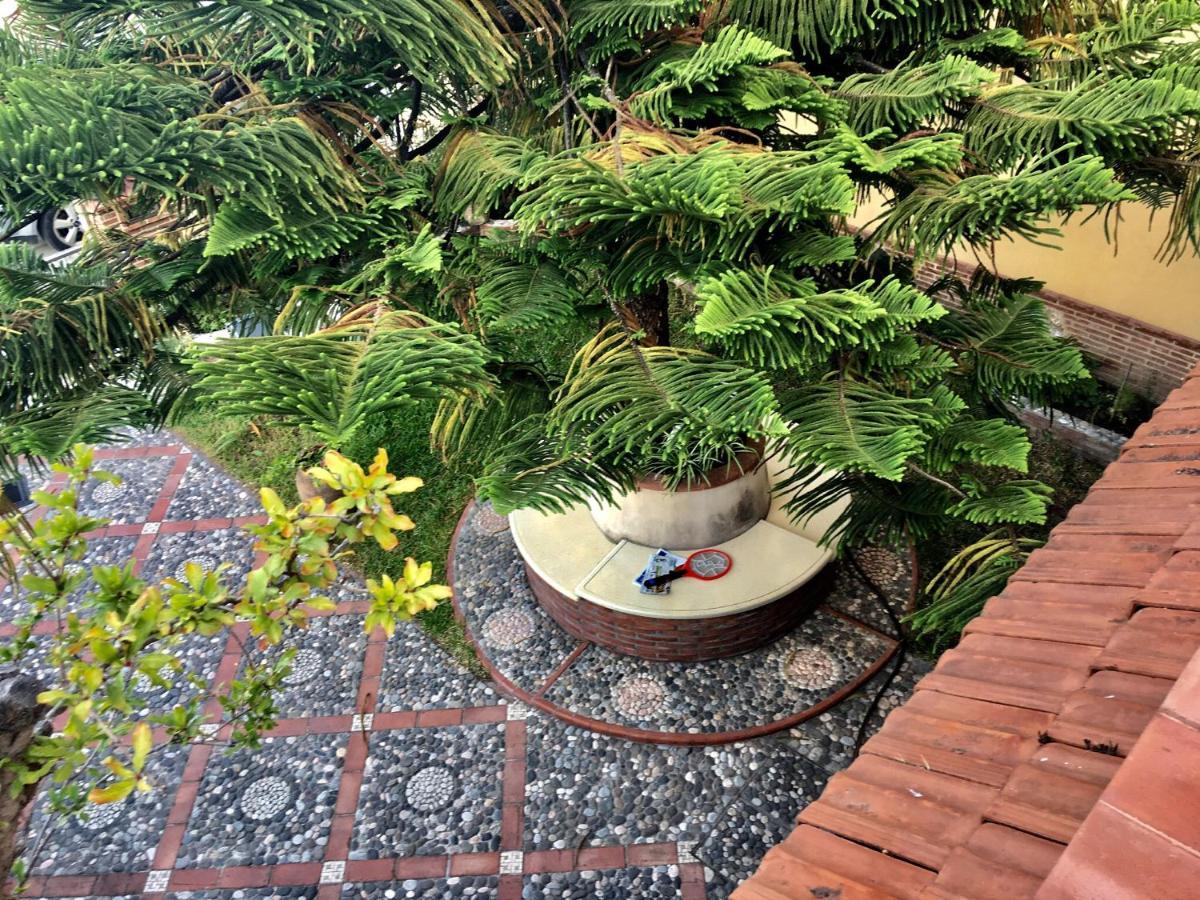 Una Araucaria Sul Mare Apartment San Giorgio  Bagian luar foto